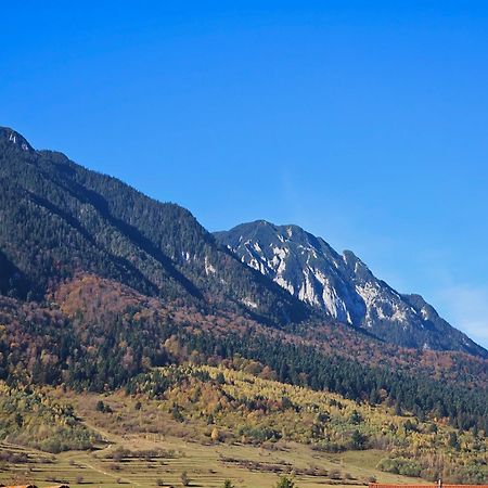 Pensiunea Kyfana Zărneşti エクステリア 写真