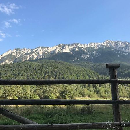 Pensiunea Kyfana Zărneşti エクステリア 写真