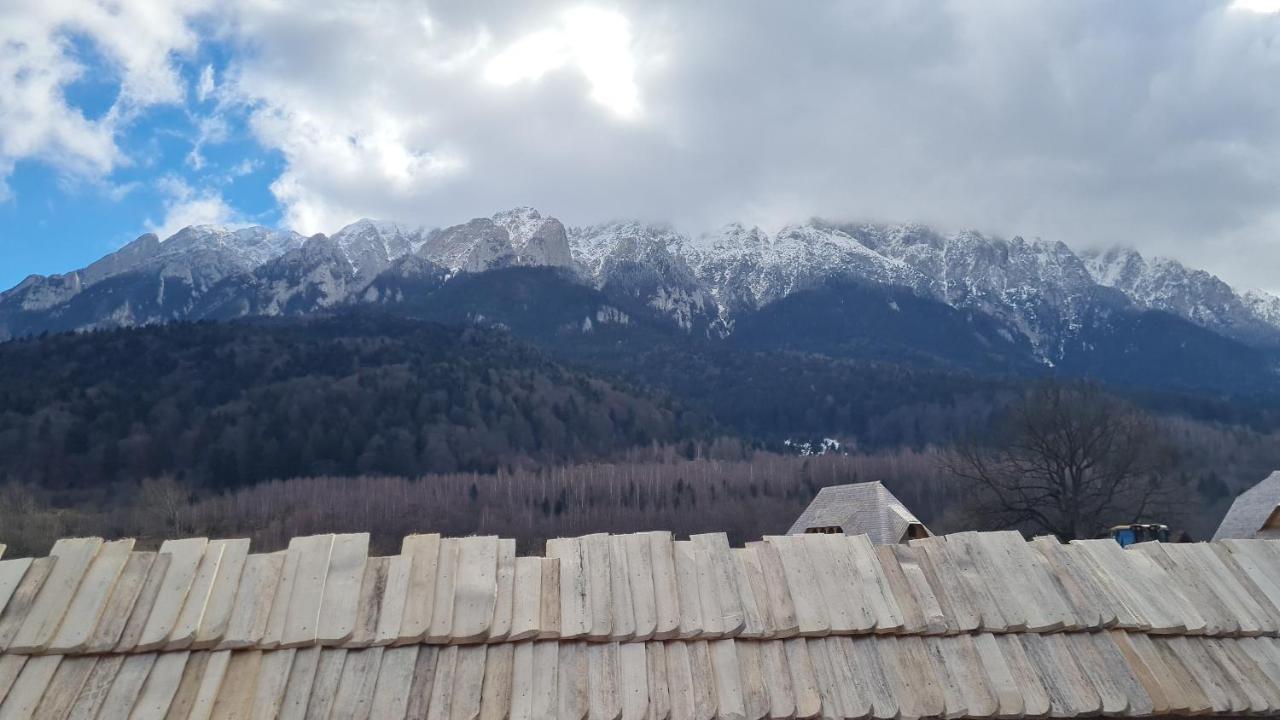 Pensiunea Kyfana Zărneşti エクステリア 写真