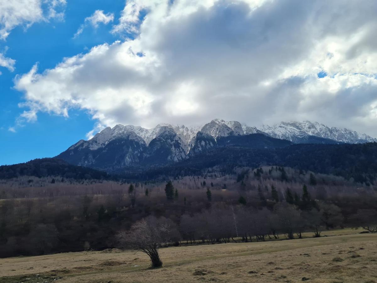 Pensiunea Kyfana Zărneşti エクステリア 写真