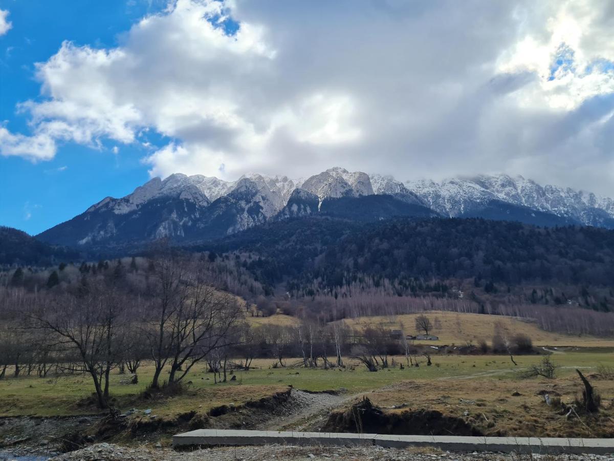 Pensiunea Kyfana Zărneşti エクステリア 写真