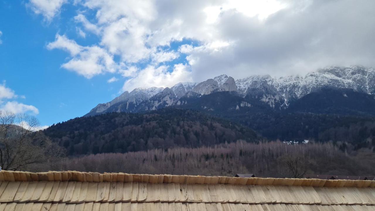Pensiunea Kyfana Zărneşti エクステリア 写真