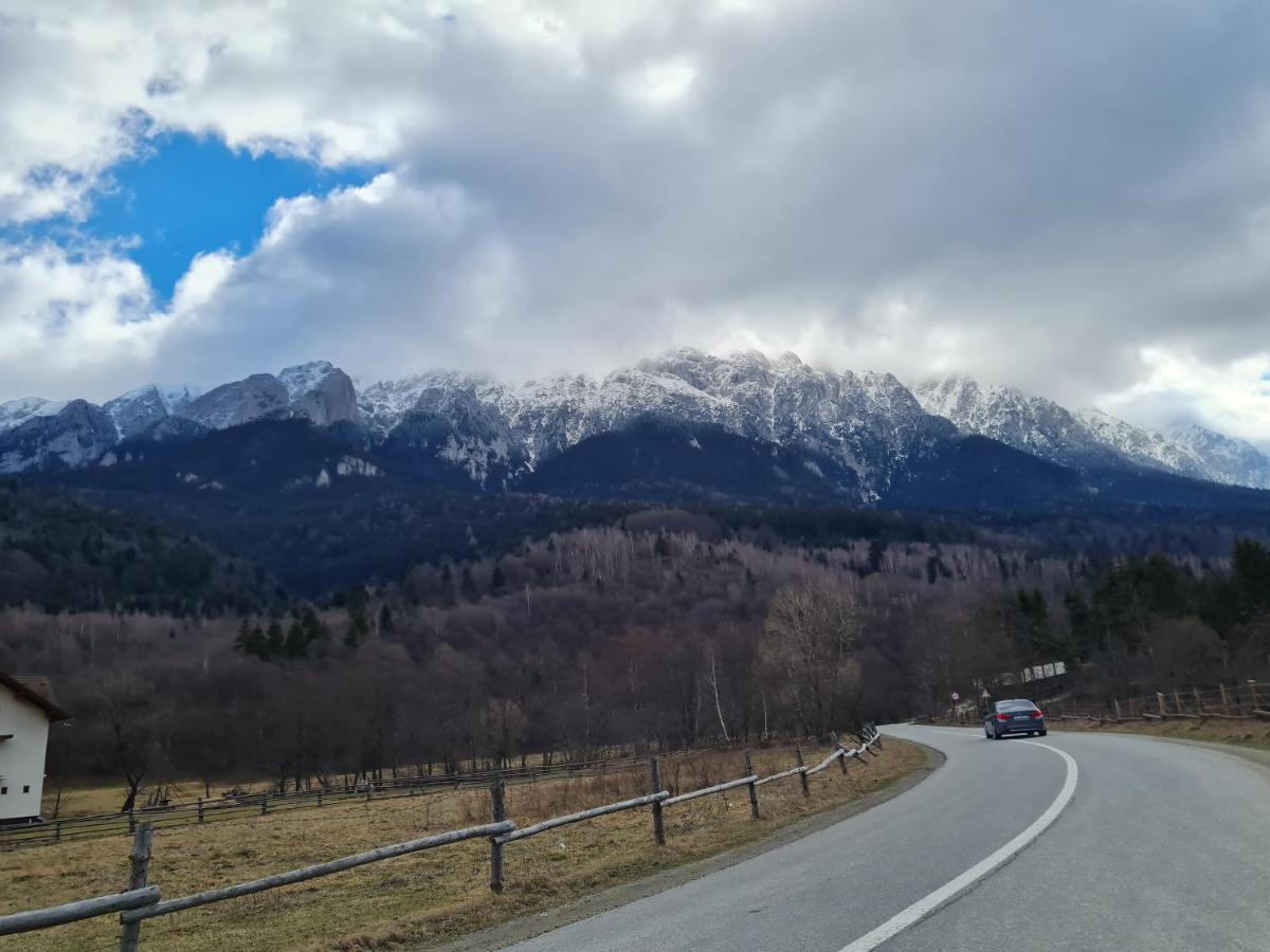 Pensiunea Kyfana Zărneşti エクステリア 写真