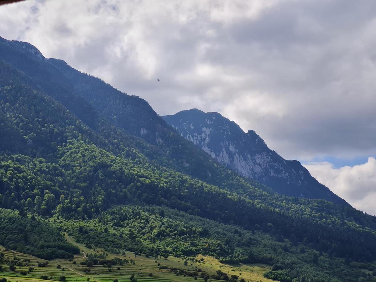 Pensiunea Kyfana Zărneşti エクステリア 写真