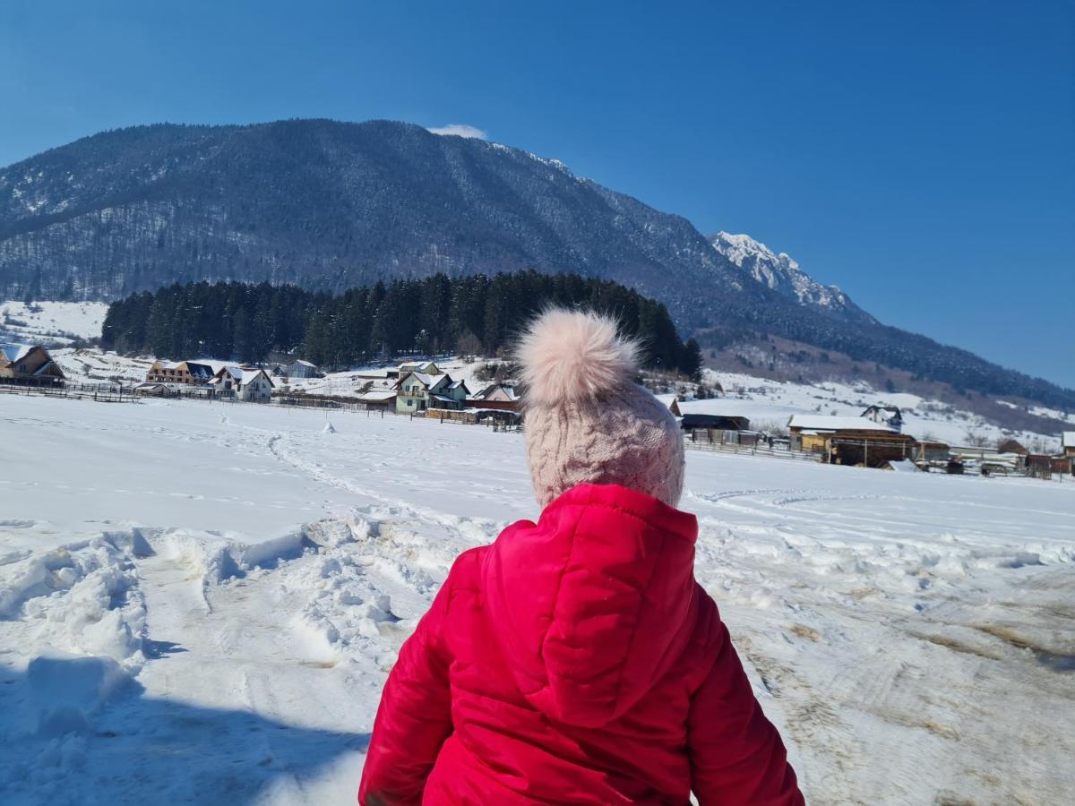 Pensiunea Kyfana Zărneşti エクステリア 写真