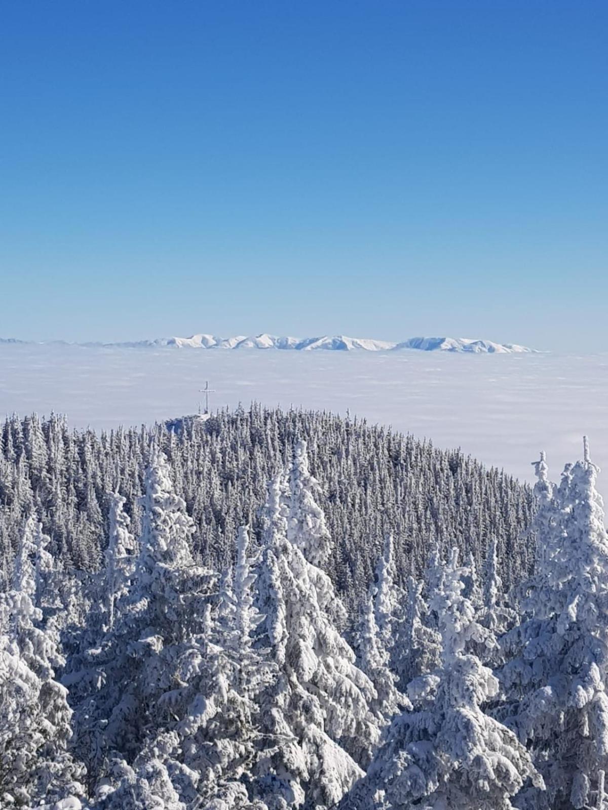 Pensiunea Kyfana Zărneşti エクステリア 写真