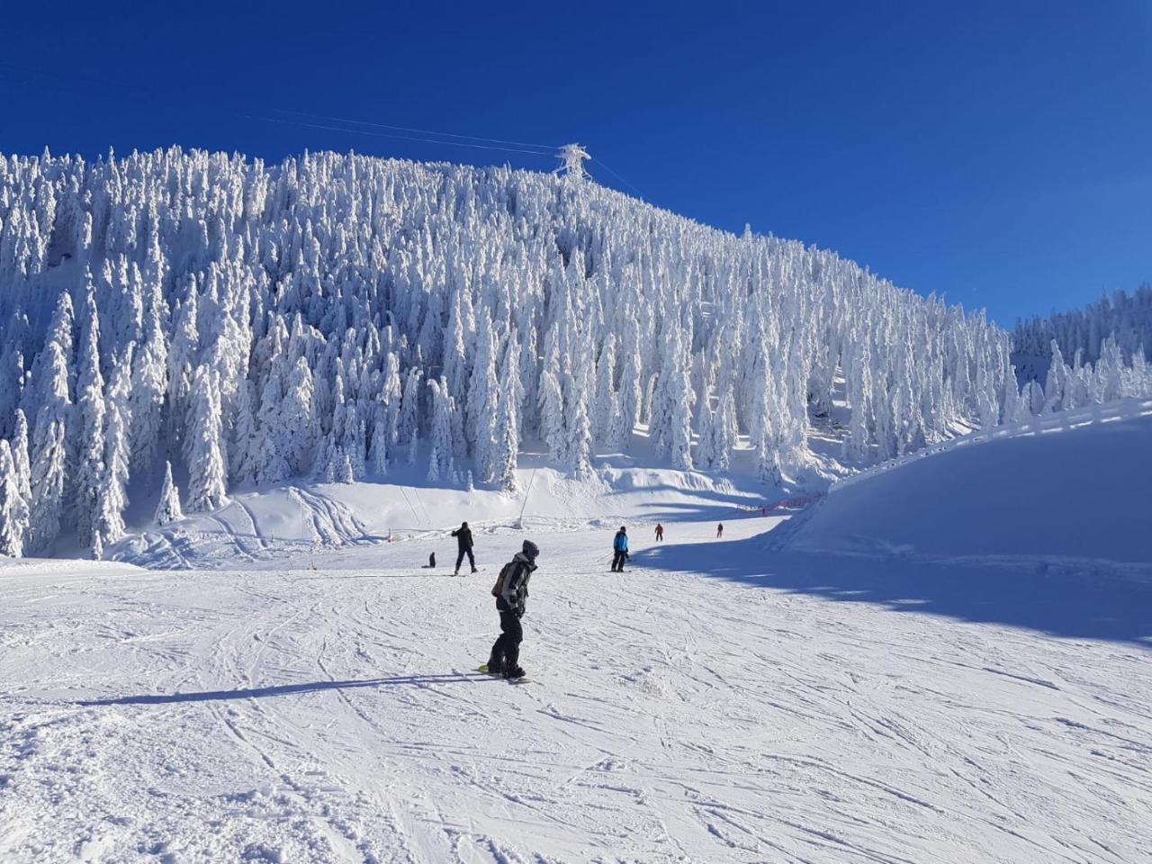 Pensiunea Kyfana Zărneşti エクステリア 写真