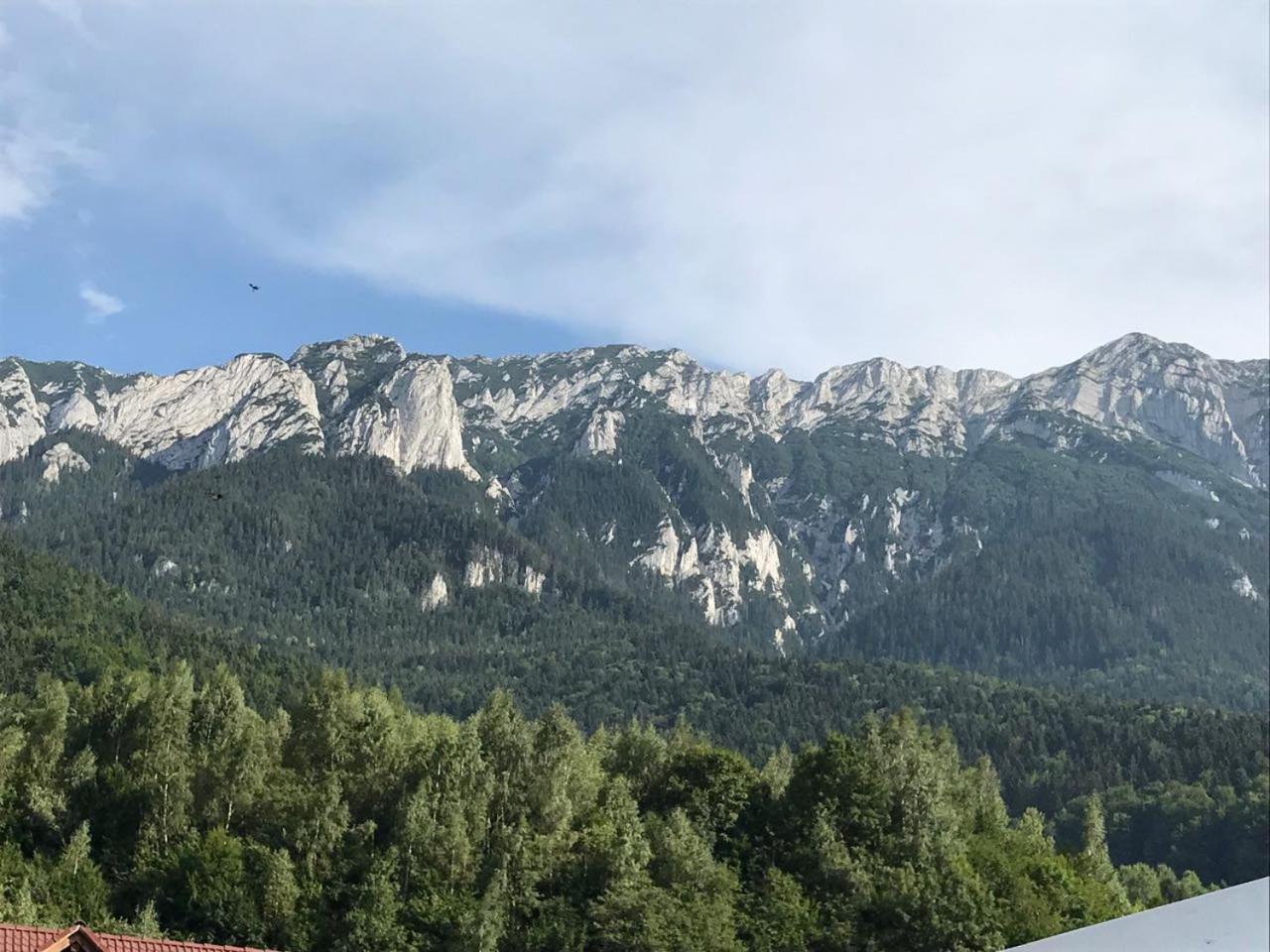 Pensiunea Kyfana Zărneşti エクステリア 写真