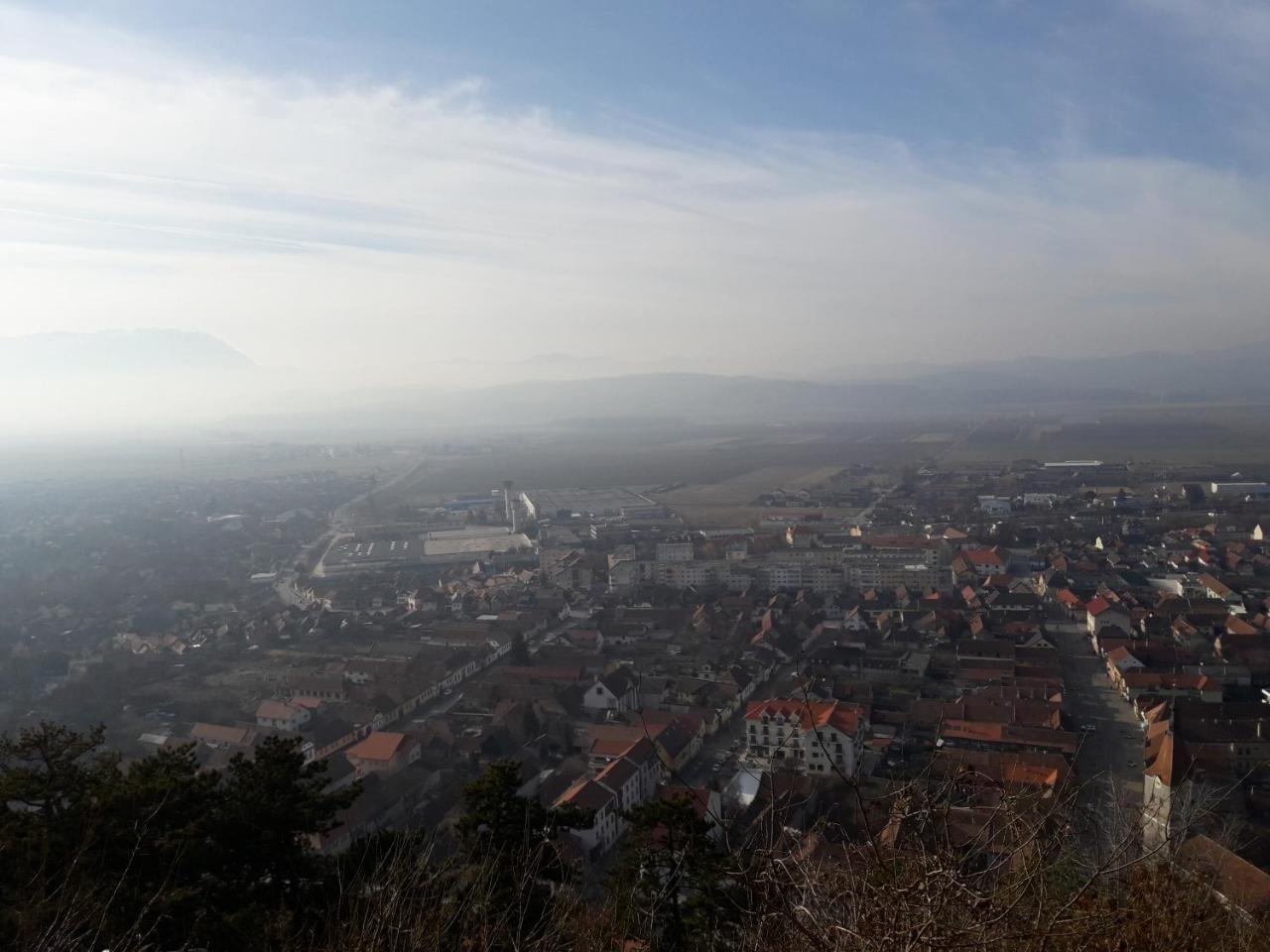 Pensiunea Kyfana Zărneşti エクステリア 写真