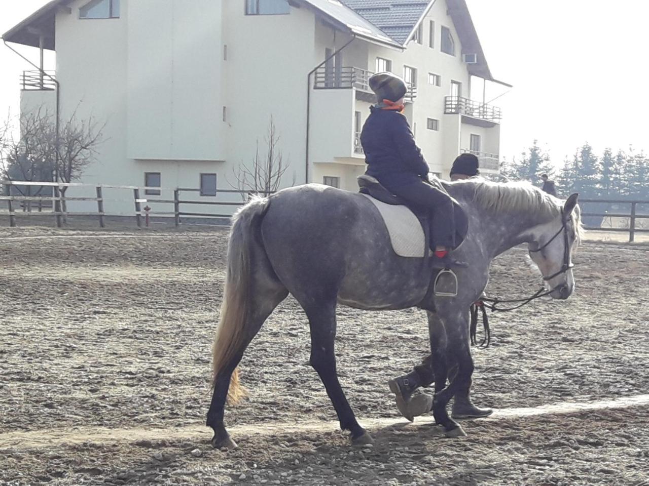 Pensiunea Kyfana Zărneşti エクステリア 写真