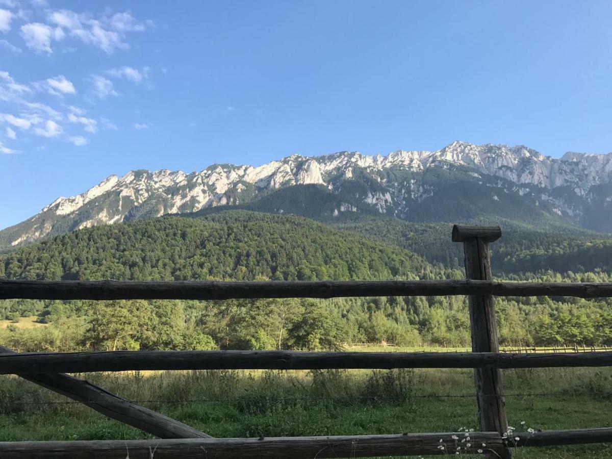 Pensiunea Kyfana Zărneşti エクステリア 写真